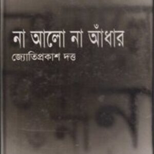 না আলো না আঁধার